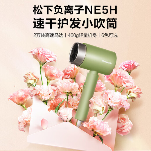 Panasonic household hair dryer high-power high-speed high-wind constant temperature quick-drying portable dormitory household negative ion hair dryer girl gift EH-WNE5H powder