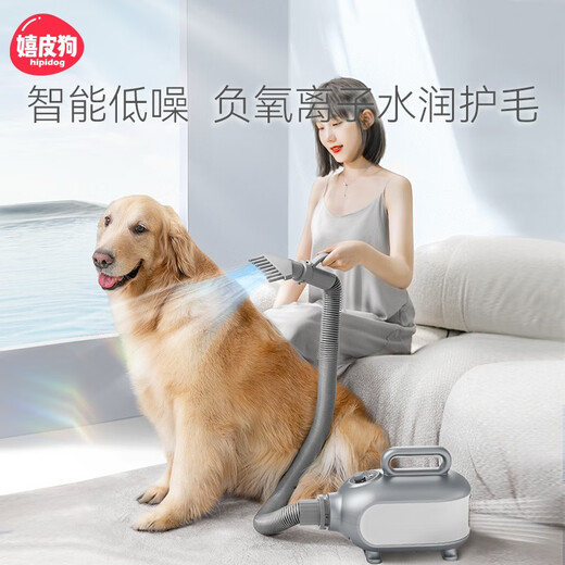 OIMG智能宠物吹水机大型犬大功率电吹风机狗狗洗澡吹毛烘干机 MAX版-精准控温-2000W