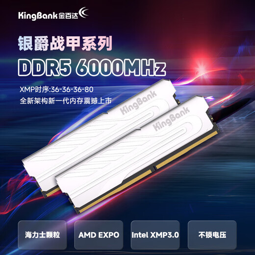 KINGBANK Yinjue DDR5 memory 6000 desktop computer game e-sports vest memory stick office 6400 Hynix particles Adie particles 16GB 32G Yinjue 6000 32G single Hynix M particles C36