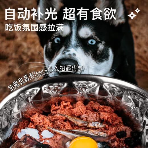 HUNTER德国进口精工304不锈钢狗碗防滑耐刮防打翻狗食盆饮水猫 Namy璀璨星光 1050ml