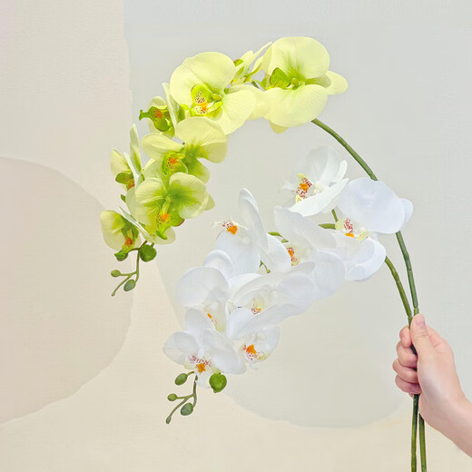 Flower e-flow Phalaenopsis artificial flower fake flower table decoration light luxury high-end flower arrangement dining table floral decoration home decoration ceramic narrow mouth plain white flat bottle