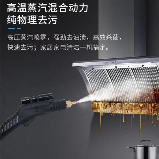 Ruizhi household high-pressure and high-temperature steam cleaner, household appliances, range hood, air conditioner, kitchen multi-function equipment, special cleaning all-in-one machine to disinfect car beauty film interior 3600W five-in-one (cold water hot water steam pulse ozone)