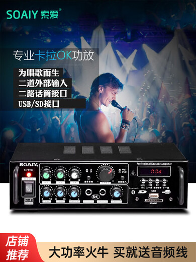 Sony Euro SA-1600 home KTV amplifier high-power audio Bluetooth AV amplifier professional hot-grade hifi conference new mini 2.0 fixed-impedance public amplifier combined power 200W (KTV mid-pack sound effect)