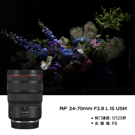 Canon r5 professional mirrorless camera, bird shooting equipment, digital camera, eos r5 full-frame Vlog camera, 8K video shooting, place an order for Labubu & Jindou R5 disassembled body + RF24-70 F2.8 lens, package five, high-capacity dual charger and dual battery + professional flash fill light + professional microphone