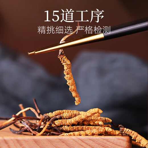 同仁堂品牌西藏野生冬虫夏草约5根/g6g约30根高端礼盒滋补品送父母长辈