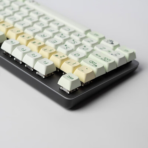 Logitech (Logitech) K845 Mechanische Tastatur, Tastatur in voller Größe, E-Sport-Spiel leuchtet Tastatur, Hühneressen-Tastatur, Punk-Retro-Tastatur Peripherie-Computer Notebook Urlaubsgeschenk, K845 Pacha Dog-Tee-Shaft