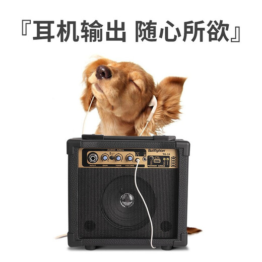 Matador Electric Guitar Speaker Charging Playing and Singing Portable Outdoor Practice Musical Instrument Speaker Can Connect to USB Computer TV 10W Electric Guitar Speaker