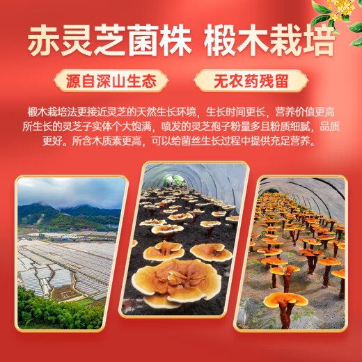 富元康 破壁灵芝孢子粉 增强免疫力  保健品 3g*60袋/礼盒装送礼端午节