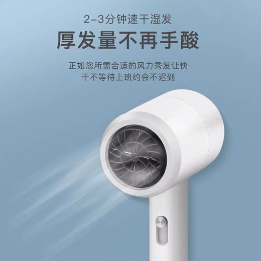 Asla hair dryer student dormitory special small power 500w high wind negative ion campus hair dryer home hair dryer fast drying does not hurt hair hot and cold gear dormitory 500w