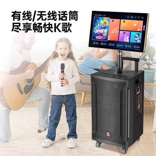 Manlong square dance audio high-power wireless microphone bluetooth musical instrument internet celebrity live broadcast mobile outdoor high-end karaoke machine singing trolley speaker W-15S audio dual microphone + gift package