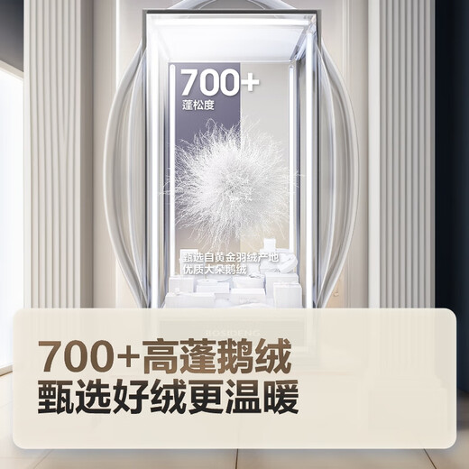 Bosideng Winter Down Jacket Goose Down Women's Long Hooded New National Standard 90 Down Shopping Mall Same Style Loose Jacket