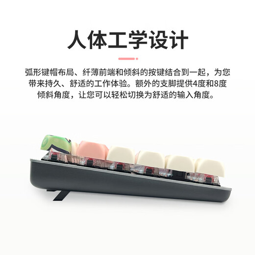 罗技（Logitech）【萌趣猪仔】K845机械键盘 游戏键盘 办公键盘全尺寸办公家用背光电竞吃鸡键盘MOA高度球型键帽 K845-青轴-萌趣猪仔