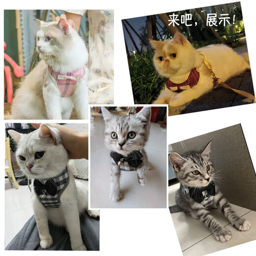 OIMG牵引绳伸缩猫咪背心式猫绳遛猫宠物兔胸背可调节猫项圈小型大型 三米黄色牵引绳长绳 L-大型建议20斤内猫咪