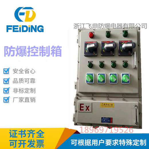 Stainless steel explosion-proof distribution box power lighting junction box control distribution cabinet maintenance instrument power supply empty box regular size