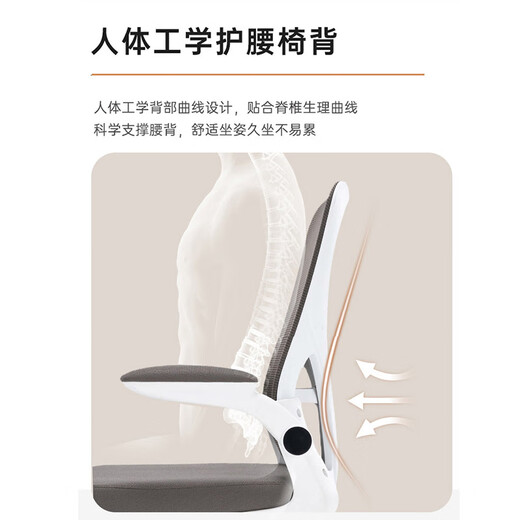 Chaise de chaise ergonomique Shukeyi chaise d'ordinateur de bureau chaise de bureau étudiant chaise d'étude pour enfants à long terme sitfort backrest chair home 983 chaise d'étude à quatre pattes-blanc et noir