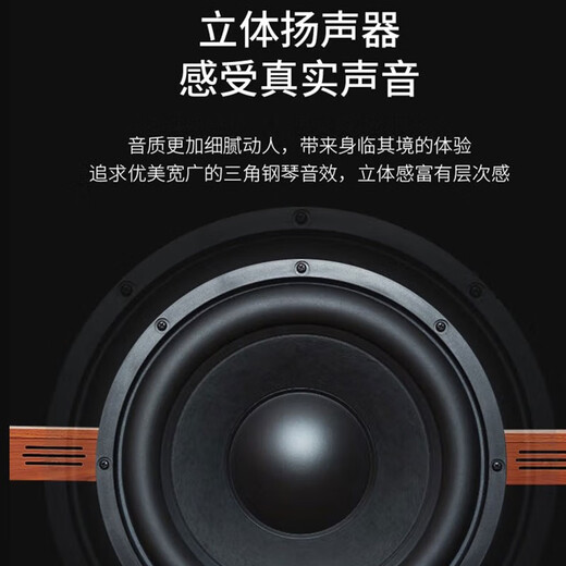 金色年代电钢琴88键重锤成人儿童电子钢琴家用练习初学者幼师专业数码钢琴 88键蓝牙力度木纹棕（配踏板） 标配