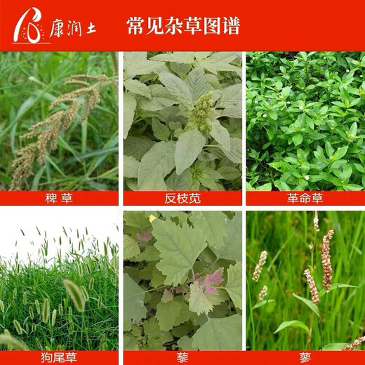 Xin'an Nongwang 757 Glyphosate Ammonium Salt 68% Herbicide Interline Herbicide Glyphosate Xin'an Nongwang 50g * 10 sacs