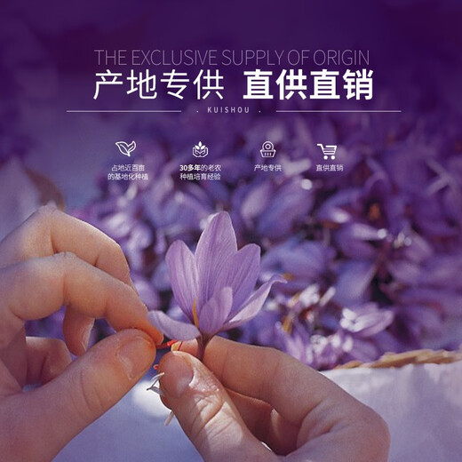 Zhenpin Island ZHENPDO 2025 New Flower Authentic Shanghai Chongming Safran Spezial-Safran-Geschenkbox Safran-Tonic Exclusive Grade 1g*1 Dose