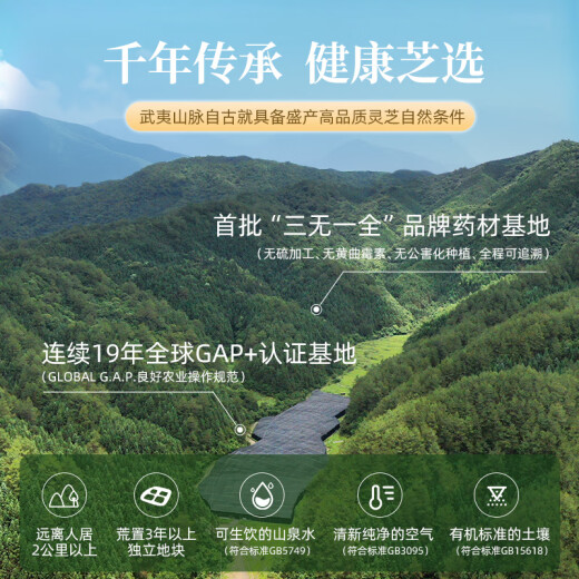 仙芝楼四大有机破壁灵芝孢子粉30袋/盒 国标制定 增强免疫营养保健品