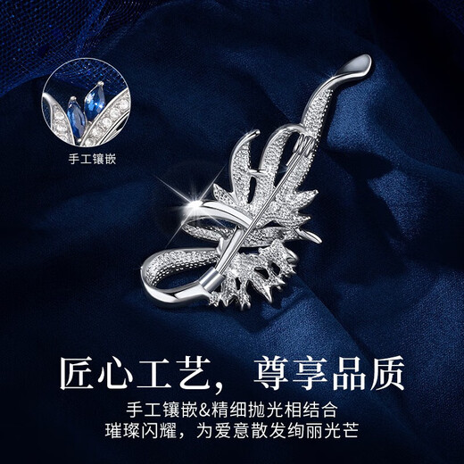Huaying (HUAYING) high-end brooch women's corsage light luxury suit jacket pin anniversary birthday gift for wife and girlfriend imported zircon luxury star brooch