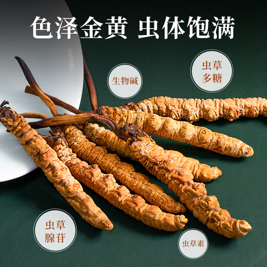 Tongfu Cordyceps sinensis 3 Roots/G 1G Paquete. El primer período de nuevos productos secos Cordyceps sinensis de alta calidad sin interrupción.