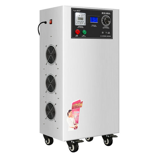 Maple Flower registered model CYJ1930B-Y 30g ozone generator ozone disinfection machine ozone machine food factory workshop breeding farm bacteria cultivation room cold storage warehouse sterilization