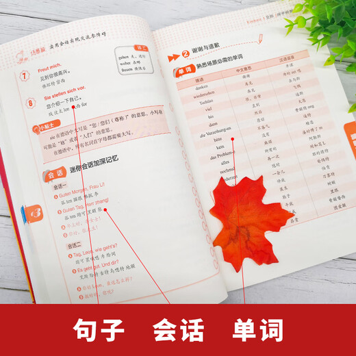 Enthält Audio und Video, ein Lehrbuch zum Selbststudium für den Einstieg in die deutsche Sprache, ein mit Goldmedaille ausgezeichnetes Einstiegsbuch für gesprochene Sprache für Anfänger, ein Aussprachevideo, Audio in zwei Geschwindigkeiten, ein Buch mit deutschem Vokabular und Wortgrammatik, kein grundlegendes Deutsch