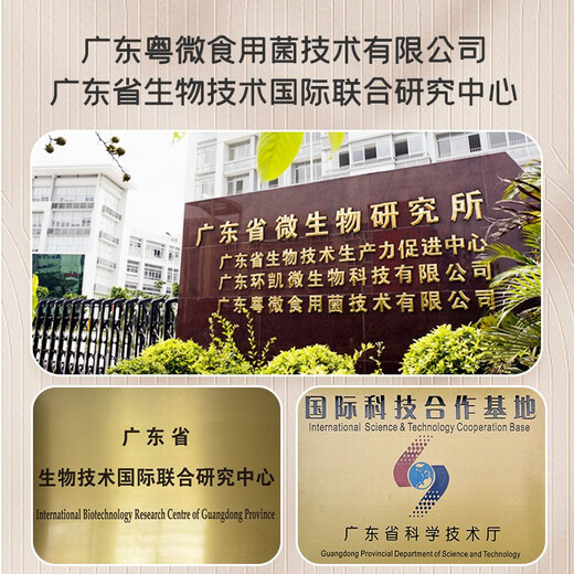 Yuewei Brand Breaking Wall Ganoderma lucidum Spore Powder Extract Capsules for Middle-aged and Elderly Health Products Gifts to Improve Immunity Triterpenes 90 capsules/bottle*1 bottle