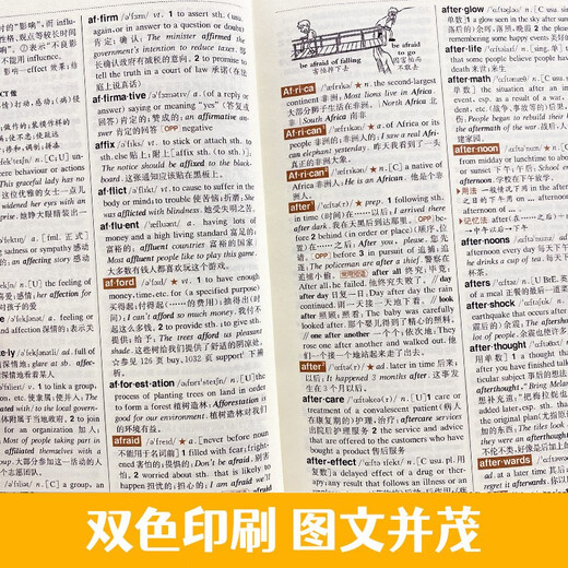 Practical English-Chinese Dictionary for Students, Multifunctional Dictionary for Junior High School and High School, Special Dictionary for English Words and Phrases, Modern Chinese Common Word Dictionary Basic Knowledge Tool Book