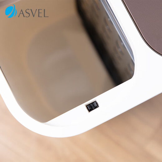 ASVEL垃圾桶带盖分类家用 厨房客厅卫生间 按键开盖式弹盖分隔垃圾筒 棕色6231-33