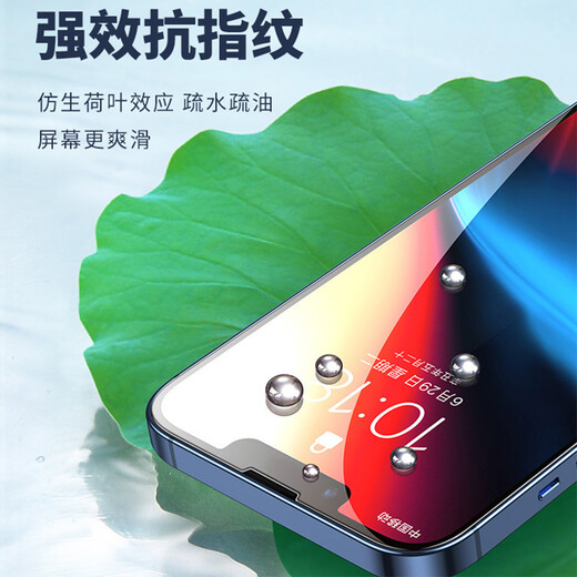 ALittleFlower适用于苹果13promax/14plus钢化膜iPhone13promax/14plus手机膜防摔抗指纹超薄全屏全覆盖贴膜