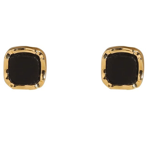 Idel summer black square earrings for women 2025 new light luxury niche earrings to support pierced ears small earrings gift black square earrings E2656