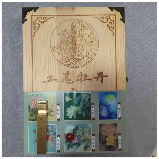 现货 工笔牡丹入门宝典 李晓明  20DVD 中国书店 9787888280175 定价680元