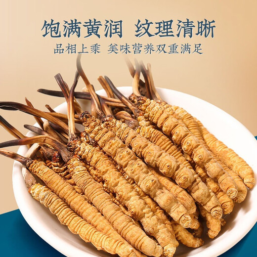 鹿章堂藏曲精品虫草1克装  断虫草断草冬虫夏草自食买1克装可自选 西藏那曲高海拔虫草2条一克装 1克装