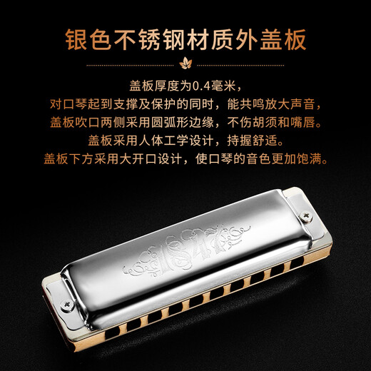 SEYDEL德国进口SEYDEL赛德 十孔10蓝调成人口琴 1847 CLASSIC 10孔LC调