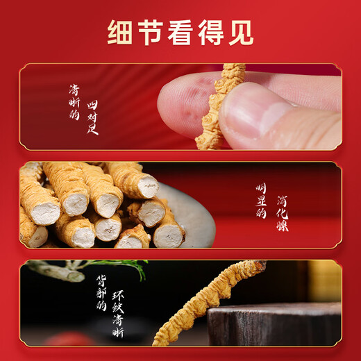 首养堂冬虫夏草3根/g 50克虫草礼盒新干冬虫草补品送父母【大规格礼盒】