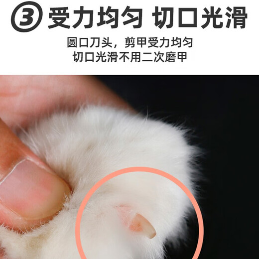 Huanpet.com cat nail scissors, cat nail clippers, cat claw scissors, pet nail clippers, kitten and kitten anti-shear blood line special artifact