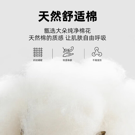 Catman long-sleeved shirt women's white professional 2025 autumn commuting formal professional work clothes white shirt white 37