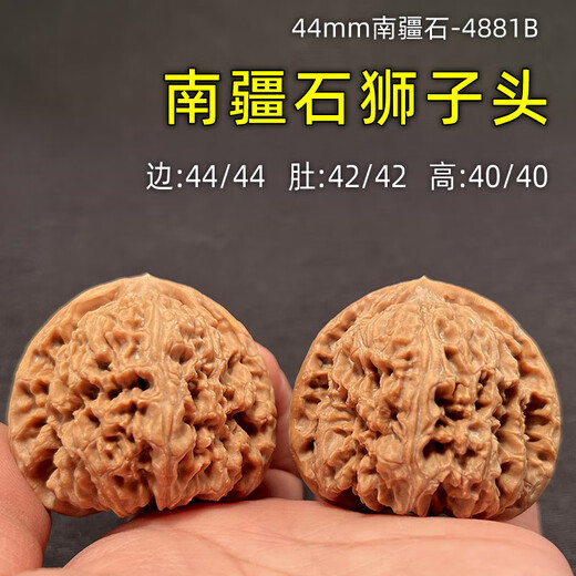 山中玉文玩核桃一物一图实拍狮子头古玩核头手把件精品盘玩男送父母礼物 3-44mm南疆石4881B-看实拍找客服