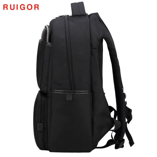 瑞戈（RUIGOR）商务休闲双肩包大容量男士背包瑞士初高中学生书包旅行旅游电脑包 黑色标准