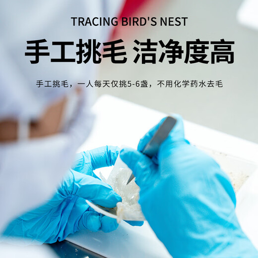 Schmuck Engel Schwangerer Vogel Nest getrockneter Tasse Indonesisch nachvollziehbar getrockneter Vogel Nest Nutritional Tonics Weihnachtsbox Pack 9a Malay Traotable Secret Cup 100g (Geben Sie ein Luxusgeschenkpaket)