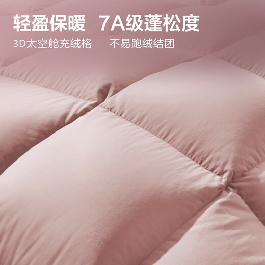 Boyang (BEYOND) Boyang Home Textile Down Quilt 95% White Goosevelt Quilt Thickened Warm Quilt Winter Anti-Down Fabric Double Quilt Core 95 White Goosevelt Winter Quilt (Dark Pink) 150*210cm