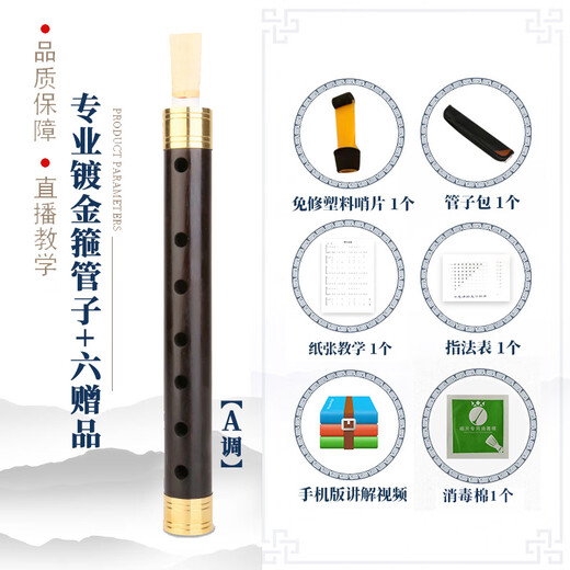 王家彪乌木催泪管子乐器初学者成人笛子管乐民族乐笛演奏民间 A调 镀金箍管子+6