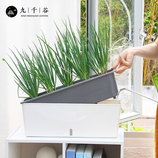 Nine Thousand Grain Vegetable Basin Rectangular Home Planting Pot Vegetable Plastic Long Strip Flower Pot Tank Double-layer Thickened Small 6195