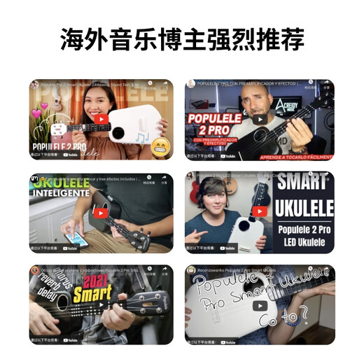 Musik Passwort populele2 Smart Ukulele Erwachsener kleiner Gitarrenanfänger vibrieren elektrisches Box Model Weiß weiß
