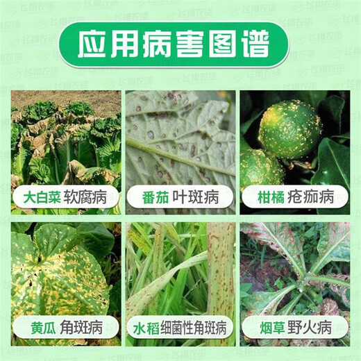 Longkejunbacterium 20% Thiobacterium copper fruit and vegetable canker, soft rot, bacterial wilt, leaf spot, bacterial angular spot fungicide 500g