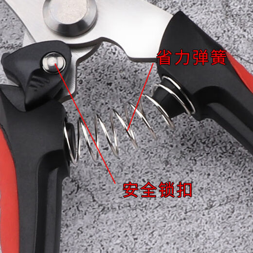 Flowers and scissors, sparse flowers, fruits and scissors, floral scissors, household flowering scissors, pruning scissors, gardening scissors, grapes, round style #T9853