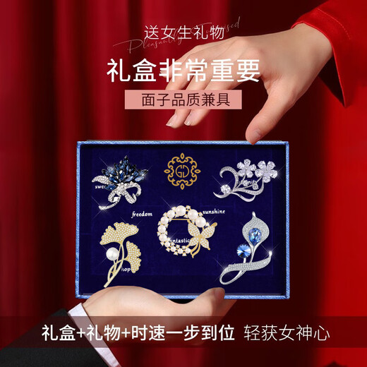 Ancient brooch, high-end women's exquisite niche corsage gift box, light luxury and elegant pin, silk scarf buckle, birthday gift for women, practical T505 temperament and noble brooch 5-piece set