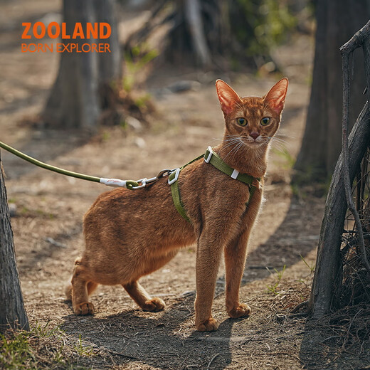 ZOOLAND cat traction rope to prevent break-away, walk large and small kittens, high appearance, lengthened adjustable I-shaped chest and back, pure black L-recommended 5-16 Jin Jin equals 0.5 kg