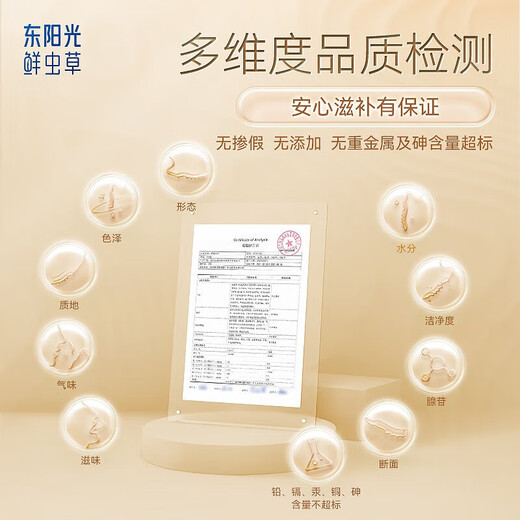 Dongyangguang Cordyceps sinensis 3-4 roots/g20g about 70 roots tonic gift box Cordyceps nutritional supplements for elders